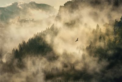 Mlžný hrad --- Misty castle