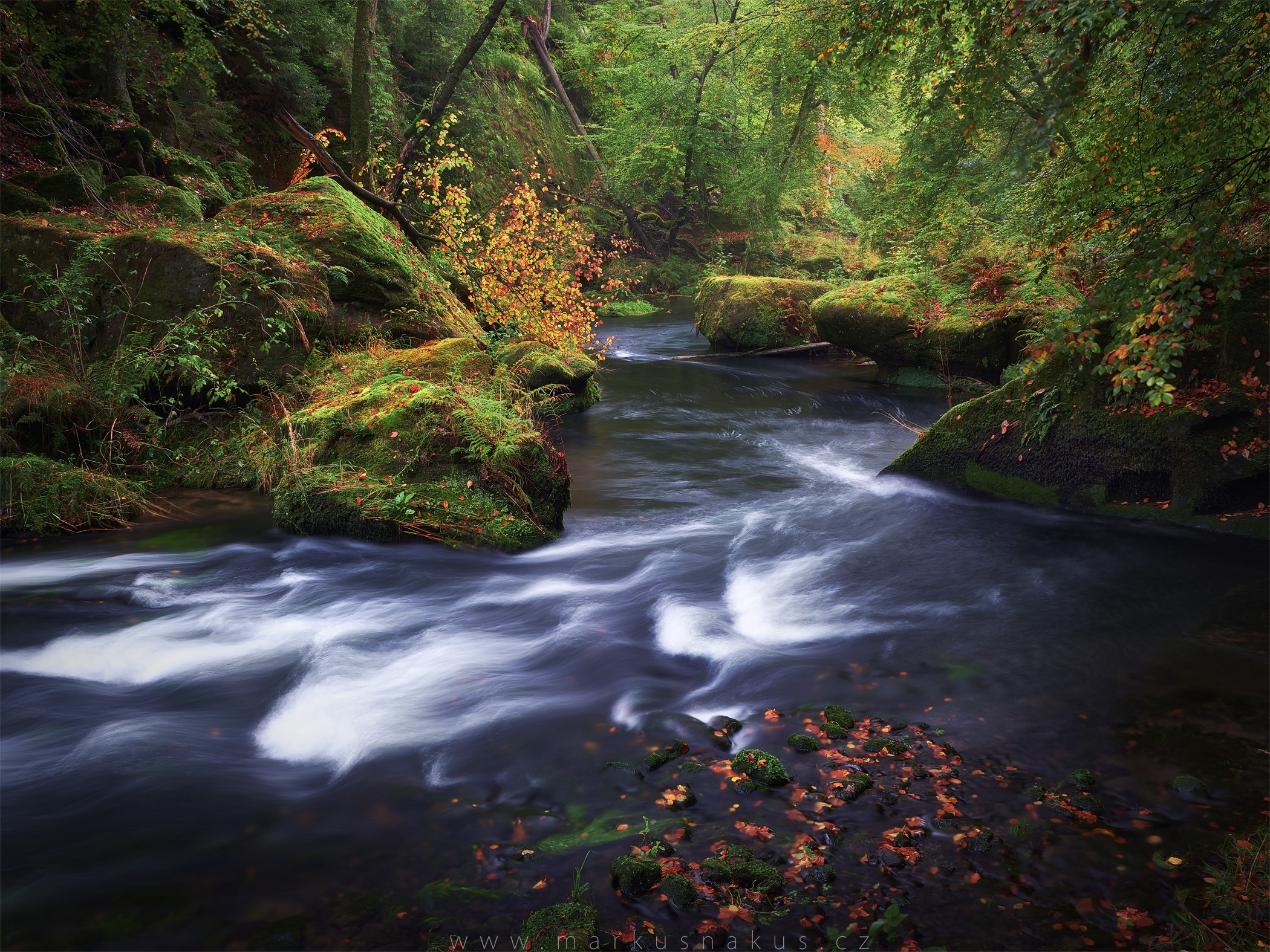 Říční zatáčky - River curves