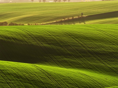 A land of green --- Zelená země