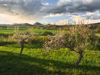 A living landscape --- Živá krajina