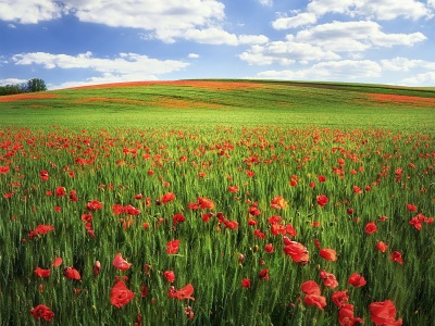 Živoucí krajina --- A living landscape