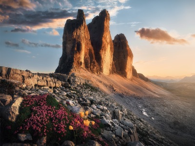 Blooming Tre Cime --- Kvetoucí Tre Cime