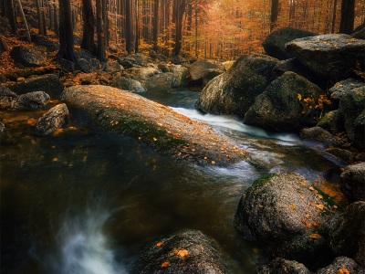 Curves of the river --- Křivky řeky