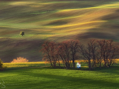Contemplation in the fields --- Rozjímání v polích