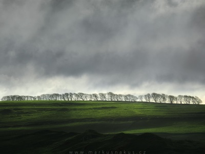 Poslední pochod Entů --- The last march of the Ents