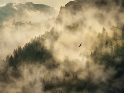 Mlžný hrad --- Misty castle